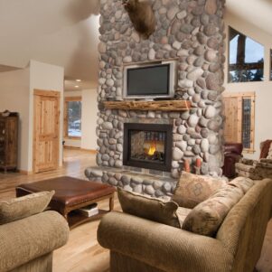 Napoleon Ascent™ See Thru BHD4STN